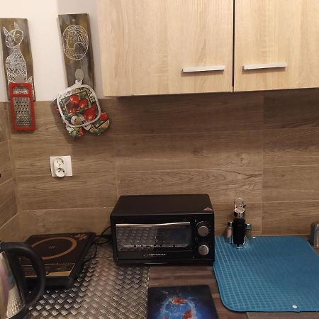 Studio Paderewskiego Jelenia Góra Extérieur photo